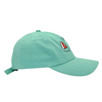 Pokemon Cap Bisasam